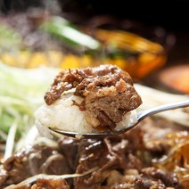푸드코스트 정성담은 천상궁 양념 소불고기 500g x 2팩, 1kg(500g 2팩)