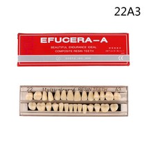 구강모형 28teeth 레진 틀니 치아 비교기 미러 치과 표백 치과 플레이트 치과 교육 모델 연구 치위생사 실습 모형, 2a3