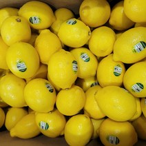신선한 정품 팬시레몬 (개당 중량 120g내외) 1.5kg 3kg 5kg 10kg, 팬시 레몬 5kg(약 40~43과)