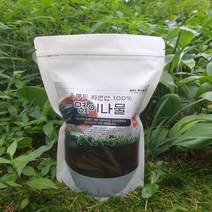 울릉도 특산품 자연산/울릉도산 명이나물장아찌 1kg 산마늘 절임, 울릉도산명이장아찌1kg