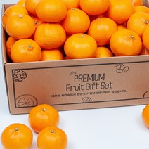 세상모든농부 제주 천혜향 새콤달콤 고당도 제주도 만감류, 천혜향 5kg 중과