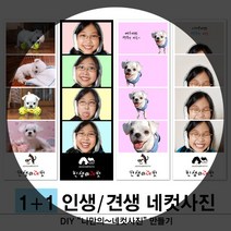 [동네사진관] 견생네컷 사진인화 애견사진 강아지 증명사진 반려동물사진, 1세트, 누끼&이동