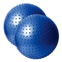 스타 임산부 짐볼 65CM 홈트레이닝 스트레칭 운동 공 짐볼운동법 임산부짐볼 짐볼운동