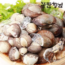 당일채취 새꼬막 (대품) 1.5kg 남해 갯벌 꼬막, 단품