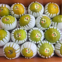 [HOT] 당일수확 달달 아삭아삭 고당도 태추단감 얇은 껍질 창원 배단감 2kg/3kg/5kg, 3kg (13과내외), 1개