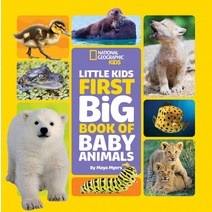 (영문도서) Little Kids First Big Book of Baby Animals Hardcover, National Geographic Kids, English, 9781426371462