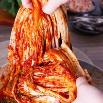 작품김치 중국산김치 10kg, 수입생썰은김치 10kg