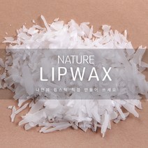 [더위치] 립왁스 1kg 립스틱 립글로우 립글로즈 만들기