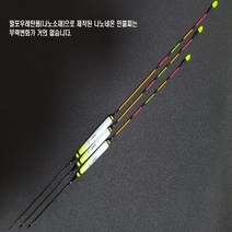 풍월주 나노 네온 민물낚시찌 올림 붕어 나노찌, 나노네온_4호, 1개