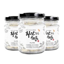자연 조미료 자연을 담은 해물 코인 90g(30알), 3개, 90g