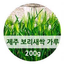 제주도 새싹 보리 분말 가루 추출분말 국산 새싹보리차 어린 보리잎 보리싹 보리순 fmd 간헐적 단식 식단 착즙 폴리코사놀 사포나린 체지방 뱃살 건강 관리, 200g, 1병