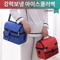 보냉가방/쿨링백/아이스가방/음료가방/미니보냉가방/도시락가방/이유식/봄소풍 아이스쿨러백, 스카이블루