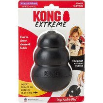 미국직송 KONG 익스 개 장난감2팩 빅사이즈형 X 대형 2 - 팩