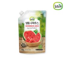 뉴뜨레 냉동 수박주스 1kg /국내산 착즙주스 100% 땡모반 얼린 아이스 생 수박, 수박주스 2팩