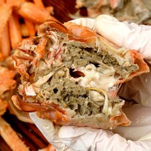 [더푸른수산] 수율보장 홍게 제철 프리미엄 박달홍게 박달대게 선주직송 품질보증 100% RED CRAB, 프리미엄 박달형 홍게 3kg+3kg