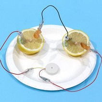 안전집게전선 과일전지실험(멜로디버저)(1인용)