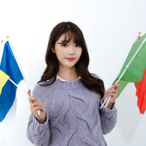 체육대회 응원 깃발 파티 용품 운동회, 옐로우