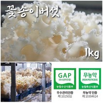 생꽃송이버섯 꽃송이버섯 생버섯 황제꽃송이버섯 국내산 무농약 우수관리 인증 버섯볶음 버섯부침개 버섯불고기 버섯찌개 버섯전골 버섯샤브샤브 다양한 요리 활용 가능 1kg