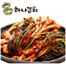 종가집 파김치 2kg (1kg+1kg), 기타, 기타