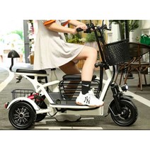 3륜바이크 세바퀴 전동차 세발 다인승 3발 이륜차, 단일 드라이브리튬 배터리 8A 30km