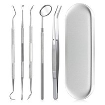 치아 세정기 직수 잇몸 마사지기 구강 수압 칫솔 치과 미적분 제거제 치석, 6pcs 철 상자