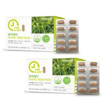 네추럴라이즈 원어데이 다이어트 카테킨 비오틴 800mg x 90정 항산화 체지방 감소 혈중 콜레스테롤 개선 영양제 건강기능식품, 2개