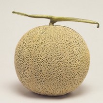 가락시장 직송 유명산지 머스크메론 7kg_5-6수, 없음, 상세설명 참조