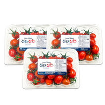 [전라신선] 전라도 60개 농가 최상급 고당도 스테비아 토마토 1.5kg