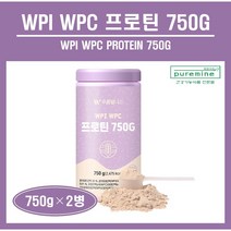 WPI WPC WPH 단백질 보충제 쉐이크 웨이 프로틴 가수분해 분리 농축 유청단백질 분말 가루 프로틴 파우더 BCAA 류신 미숫가루맛 식사대용 해썹인증 HACCP 추천, 2병, ##푸름이네##WPI WPC 프로틴 (750g)