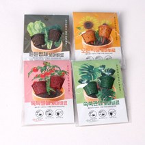 꼬마 비료(2개입) - 식물 영양제 542798EA, 쑥쑥관엽