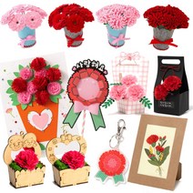 카네이션 DIY 만들기 키트 민화샵 패키지 모음 펠트 종이 모스, 옵션S 펠트 꽃송이 10송이