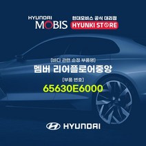 현대모비스 멤버 리어플로어중앙 (65630E6000), 1개