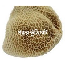 S.N. FOOD FROZEN HALAL BEEF TRIPE CUT(냉동 소위)호주 1.1KG, 반품하실경우 제품받은후 24시안으로 반품가능합니다