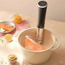 [코스트코직송] 인스턴트 슬림 수비드 머신 ASSV1000 / 안전심플디자인 / 다이어트요리 /촉촉한고기요리 /온가족요리 /부모님 요리 /집들이선물