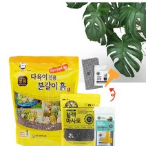 화분월드 다육이 분갈이 흙 5.5L, 3개