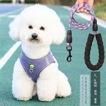 Daegu 조끼식 강아지 견인줄 소형견 비숑 푸들 테디보미 강아지 애완동물 가슴 멜빵 산책개 견인줄 + 끈 1.5MGYF082409, 퍼플세트