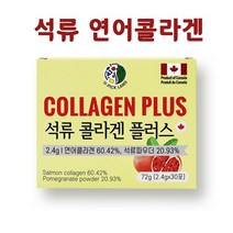 석류 콜라겐 분말 스틱 500달톤 초저분자 피쉬 콜라겐 펩타이드 연어콜라겐 수용성 어류 생선 먹는 콜라겐 엘라스틴 히알루론산 홈쇼핑, 1개, 30포