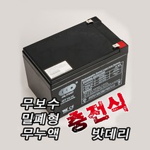 무보수 밀폐형 무누액 충전식 12V 12AH 밧데리, 단품