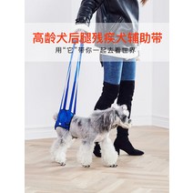 애완용품 슬개골탈구 장애견 다리밴드 휠체어 고령견년 노령개 뒷다리조력병 장애 마비된 강아지 보조대 척추후지, 02 울트라 블랙 블루, 03 M사이즈측정
