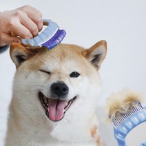 강아지 고양이 조개빗, 블루, 본상품선택