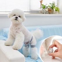 꼬잇 브이레이 프로 슬개골 케어기기 강아지 슬개골 보호대 노견 고관절 십자인대 탈구 예방, 2구(48회분) S