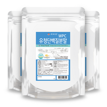 WPC유청단백질분말100% 500g팩 미국산 HACCP 인증제품, 3개, 500g