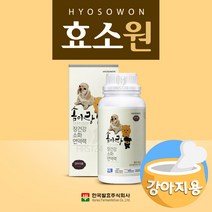 효소원 강아지 소화 효소 영양제 애견 반려견 면역력 장건강 솜이랑
