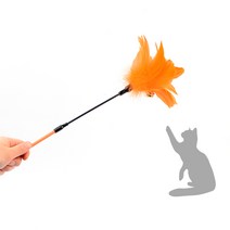 강아지 애견 삑삑이 이갈이 공 장난감 깃털 고양이