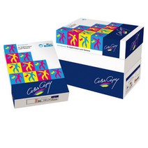 [122592]컬러레이저용지A4 (160g/250매/NEUSIEDLER), 상세설명참조, 상세설명참조