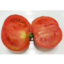오병이어영농조합법인 완숙 찰토마토, 1-2번과(대과), 10000g, 1개