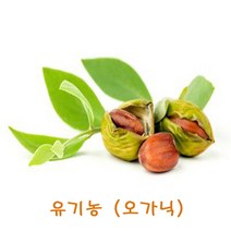오가닉골든호호바오일 100ml/유기농/호호바유/조조바오일/ORGANIC Golden jojoba oil/비정제/천연화장품, 500ml, 500ml