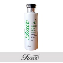 포스 그린티 스캘프 샴푸, 500ml, 1개