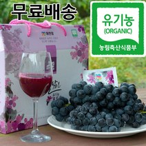 하늘닮은 유기농 포도즙, 100ml, 60