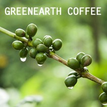 [생두 55종류] Mocha Drip blend 생두 1kg/500g/250g, 500g, 500g, 1개